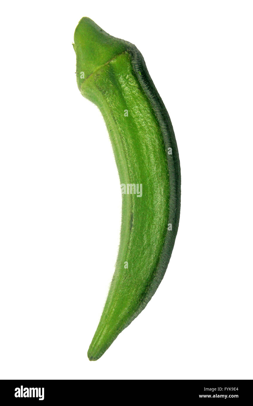 Abelmoschus esculentus, Lady dito Foto Stock