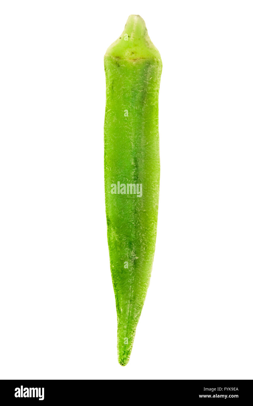 Abelmoschus esculentus, Lady dito Foto Stock