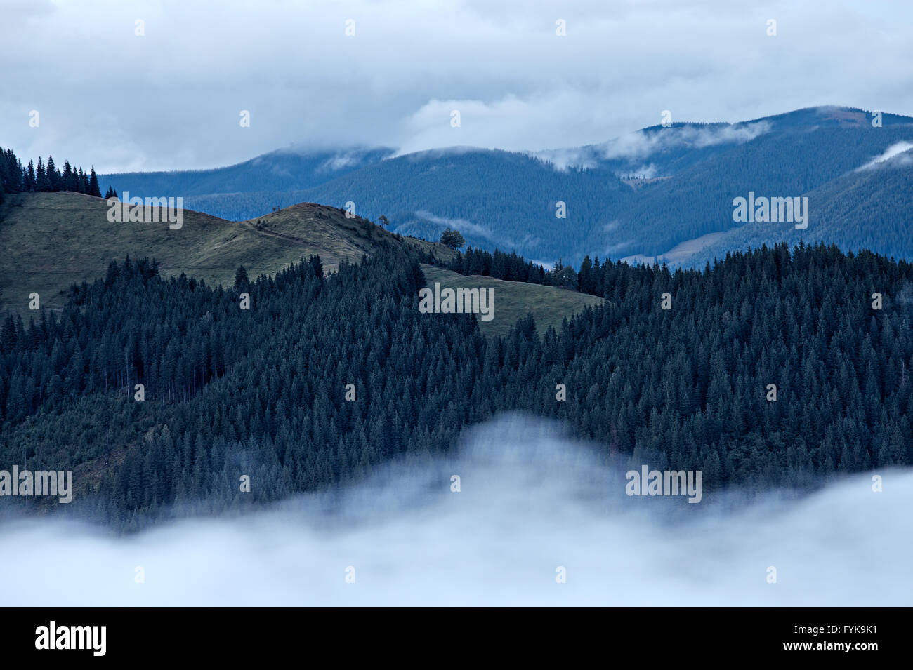 La nebbia paesaggio delle montagne dei Carpazi Foto Stock