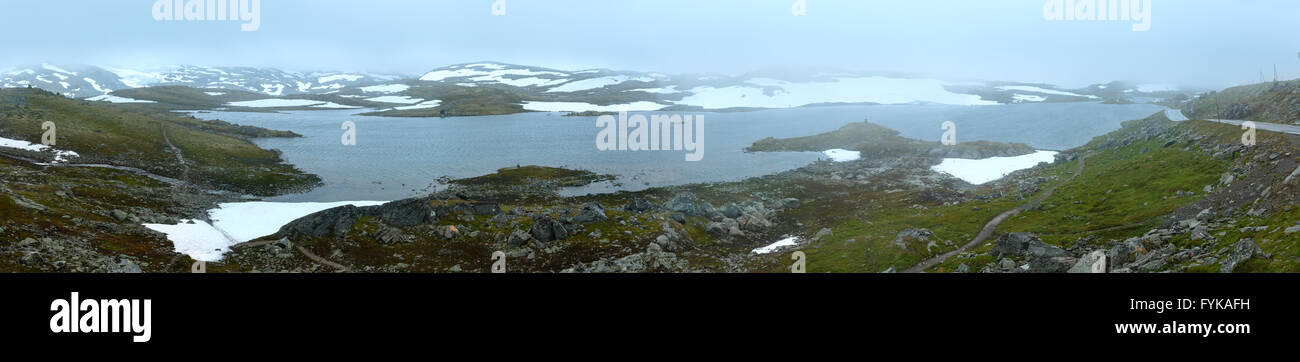 Montagna d'estate con il lago e neve (Norvegia) Foto Stock