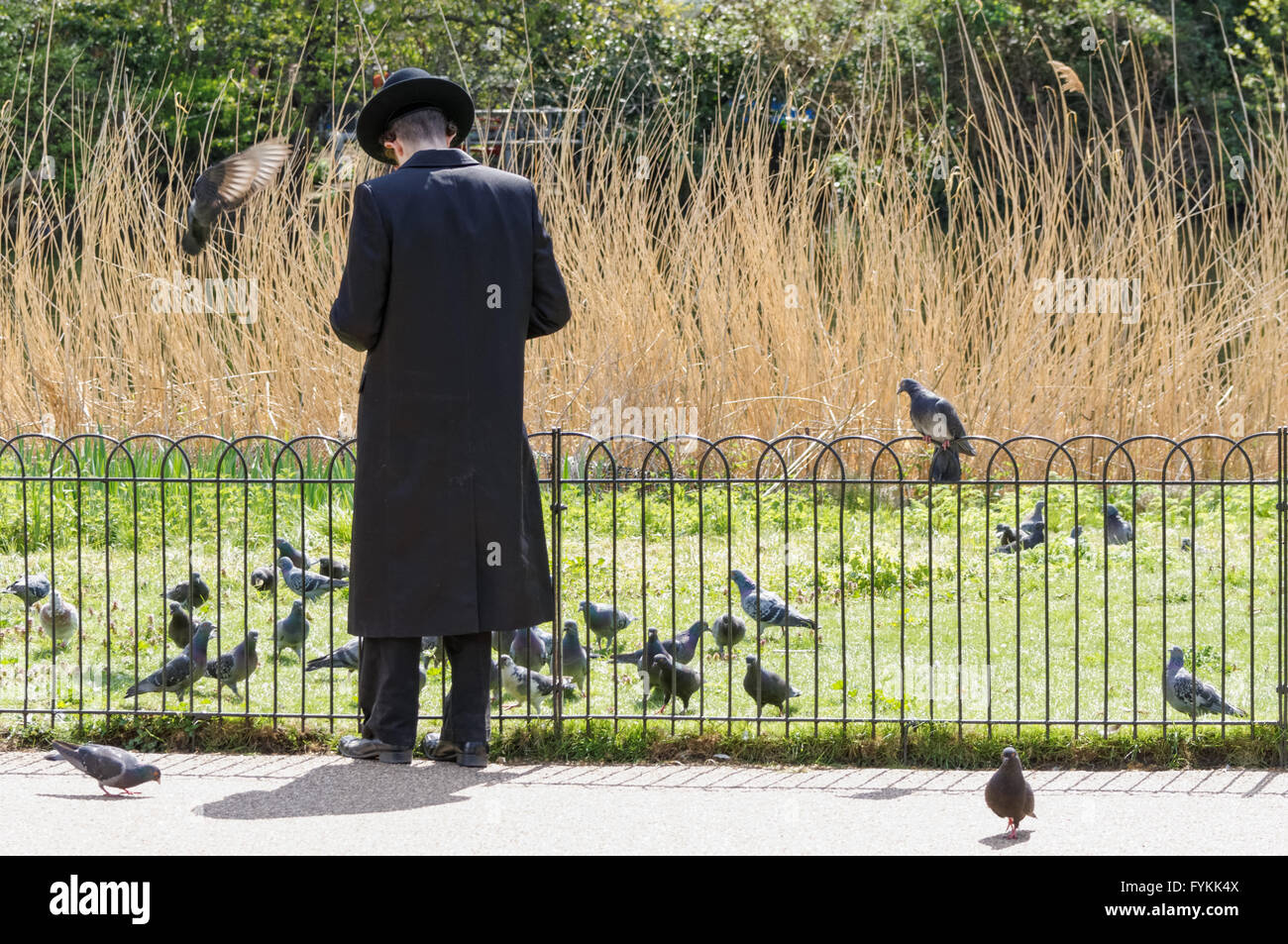 Tempo soleggiato in St James Park, Londra England Regno Unito Regno Unito Foto Stock