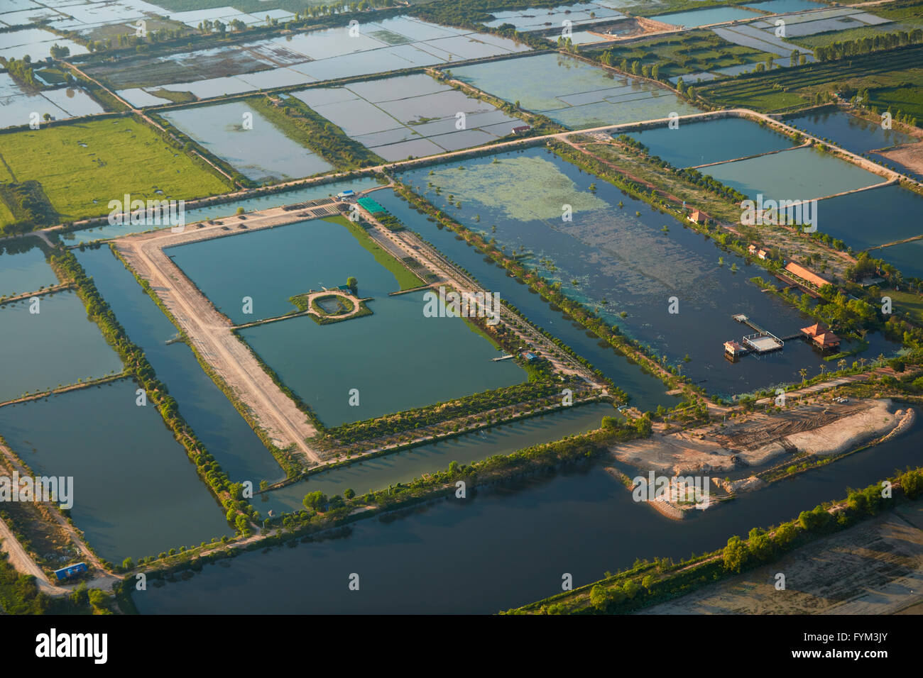 Risaie e stagni in un nuovo progetto di sviluppo vicino a Siem Reap, Cambogia - aerial Foto Stock