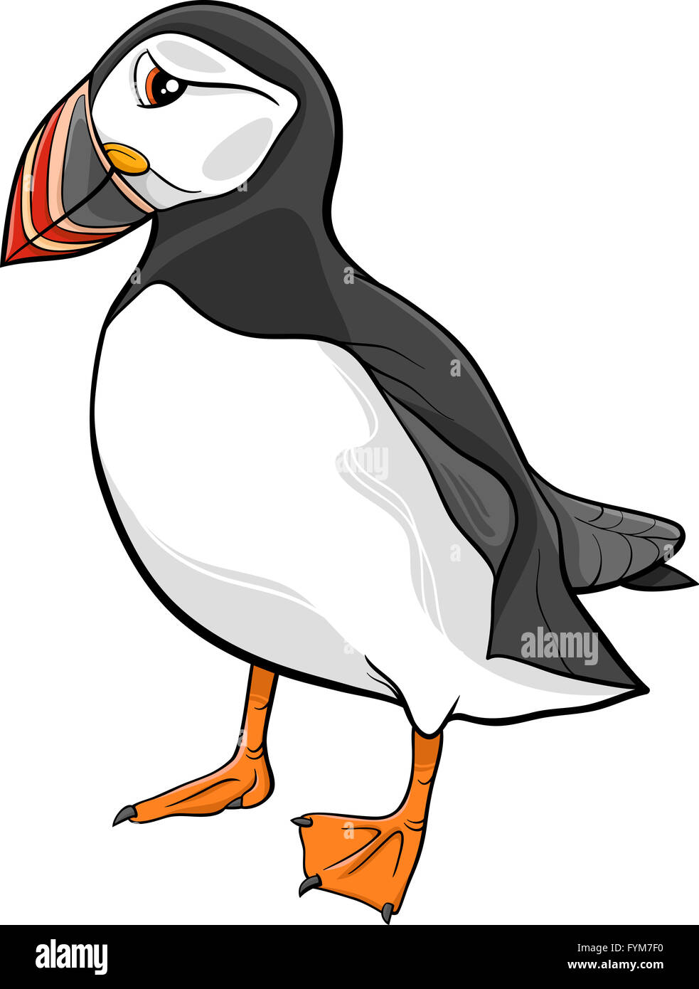 Atlantic puffin cartoon illustrazione Foto Stock