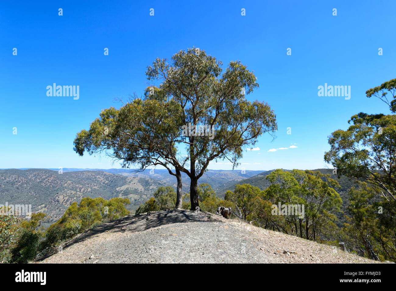 Kissing Point Lookout, Hill Fine, Nuovo Galles del Sud, Australia Foto Stock