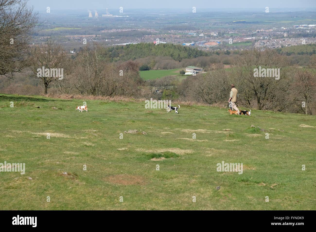 Paesaggi di cani immagini e fotografie stock ad alta risoluzione Alamy