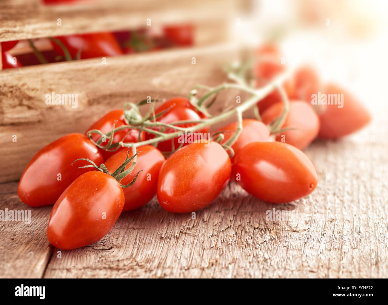 Mini pomodori san marzano sulla vigna giacente su di una superficie di legno di fronte ad una piccola gabbia in legno pieno f mature tomaoes fresco Foto Stock