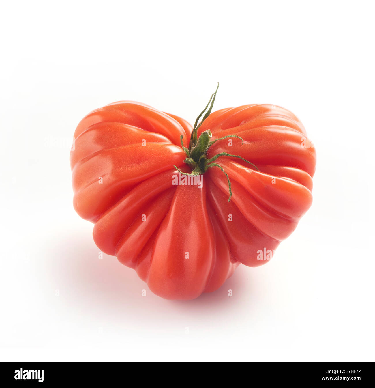 Ripe rosso fresco intero coeur de boeuf o Bistecca di manzo cultivar, pomodoro visualizzato su uno sfondo bianco con ombra Foto Stock