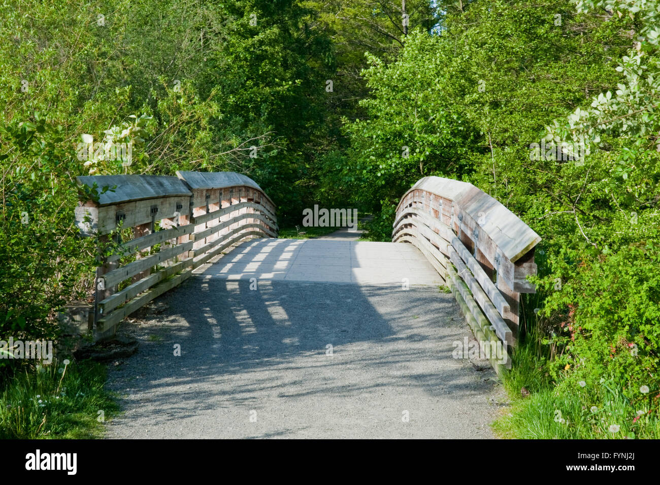 Ponte di legno in Washington Park Arboretum Foto Stock