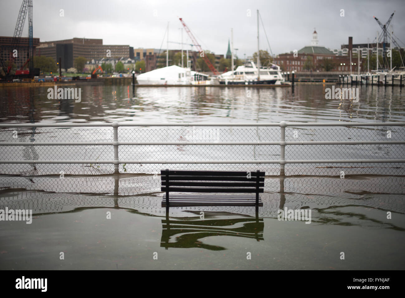 Waterfront allagato Hains Point Washington DC // WASHINGTON DC - Un lungomare allagato lungo Hains Point e il Washington Channel (con Southwest Waterfront sullo sfondo). Foto Stock