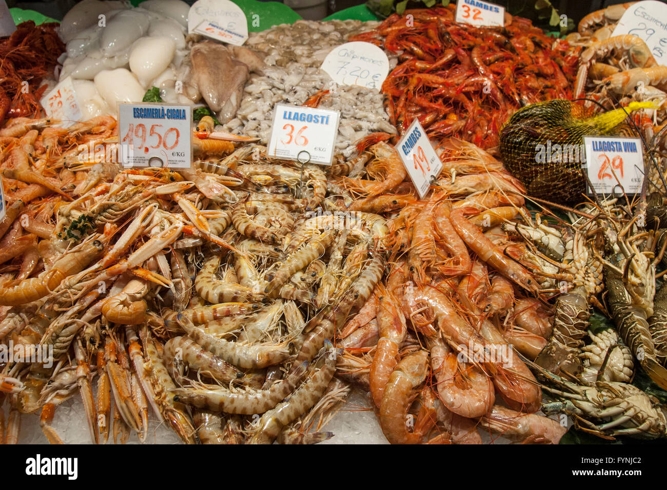 Frutti di mare, pesce, Mercat de Sant Josep situato sulla Rambla, al mercato della Boqueria, Barcellona, Spagna Foto Stock