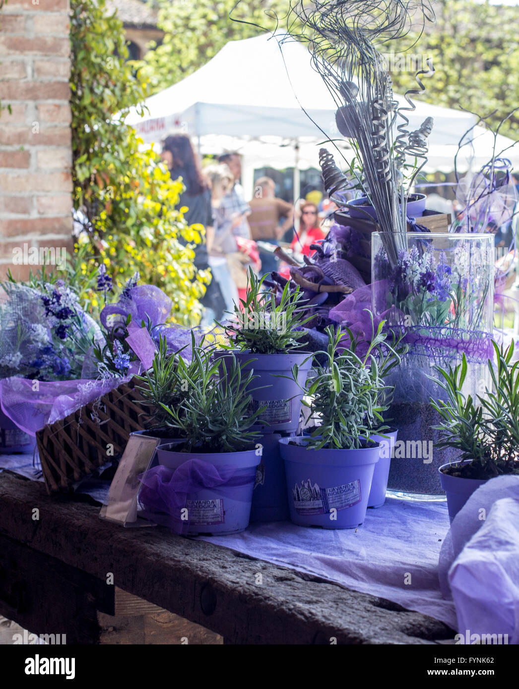 Piccola ciotola decorata con fiori di lavanda Foto Stock