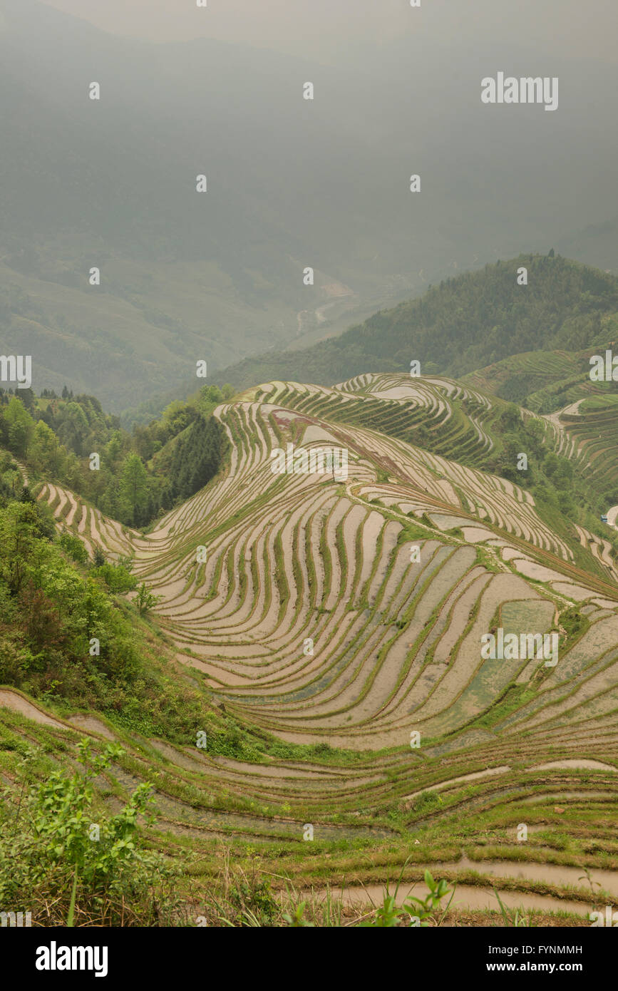 Le splendide terrazze di riso di ping an in Longji, Guangxi Regione autonoma, Cina Foto Stock