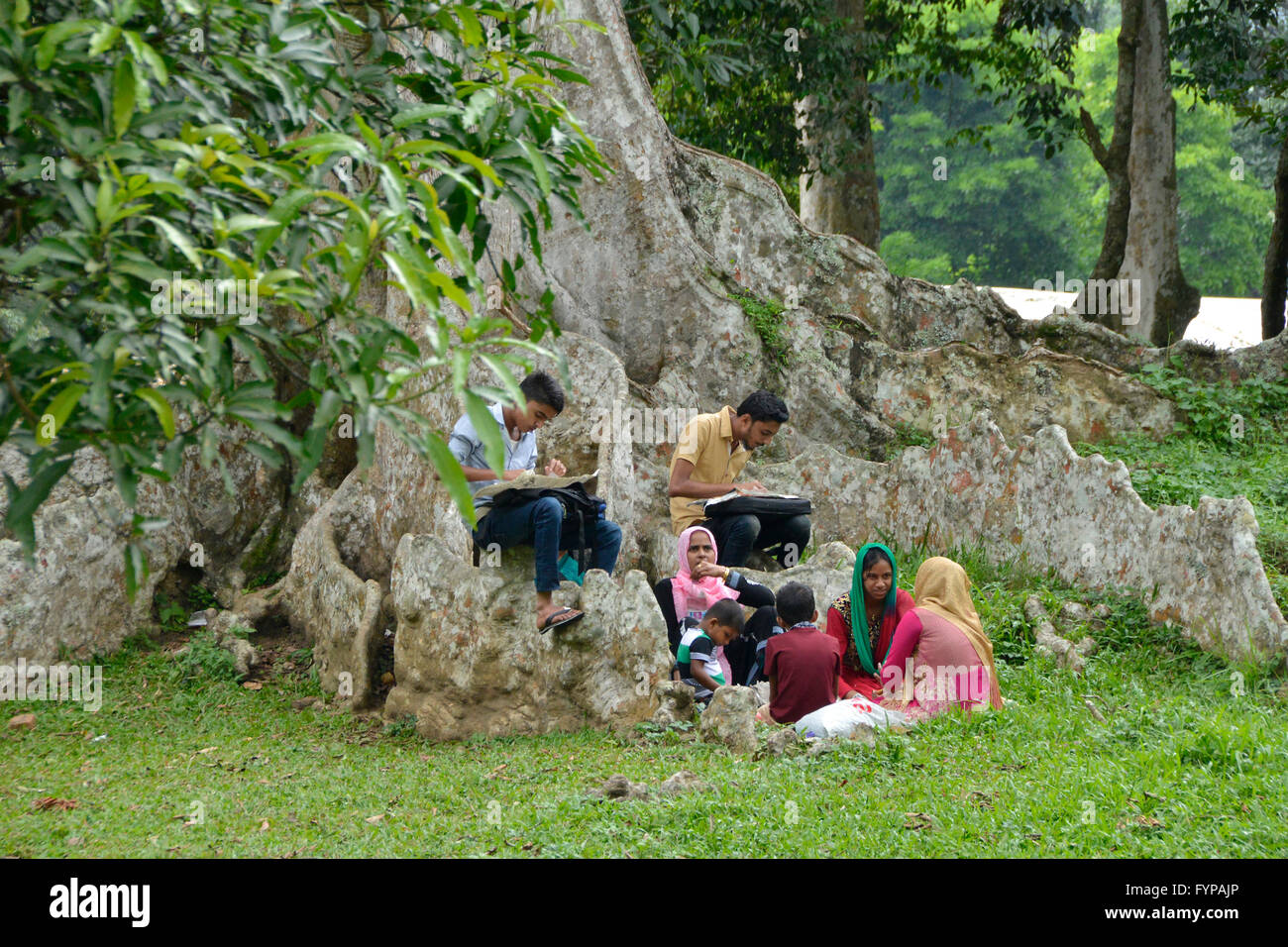 Picknick, Royal Botanical Gardens, Peradeniya, Kandy, Sri Lanka Foto Stock