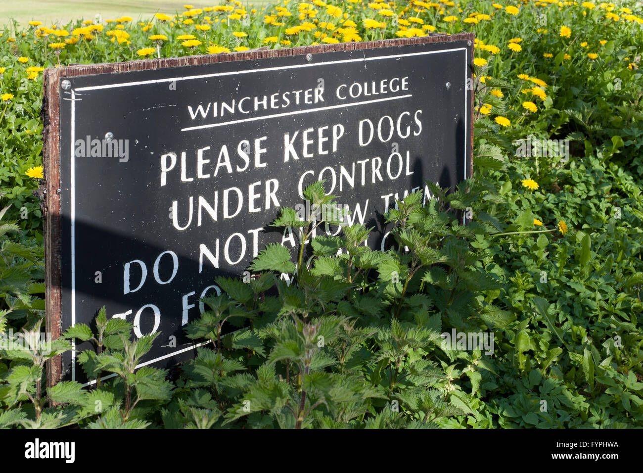 Segno winchester college motivi avvertenza i proprietari di cani per tenerli sotto controllo England Regno Unito Foto Stock