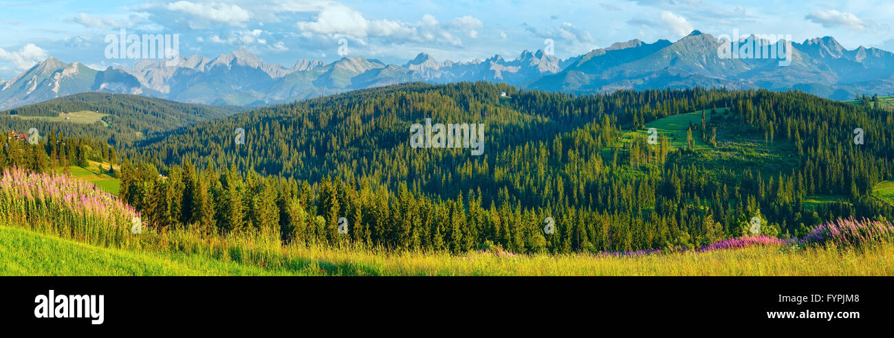 Estate in montagna panorama del paese. Foto Stock