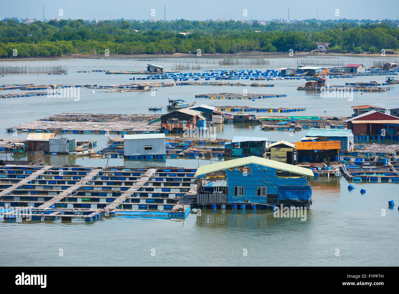 Agli allevamenti di pesce in Vietnam Foto Stock