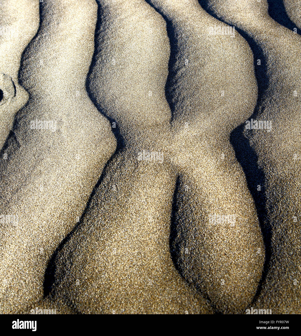 Di sabbia asciutta e la spiaggia lanzarote Spagna Foto Stock