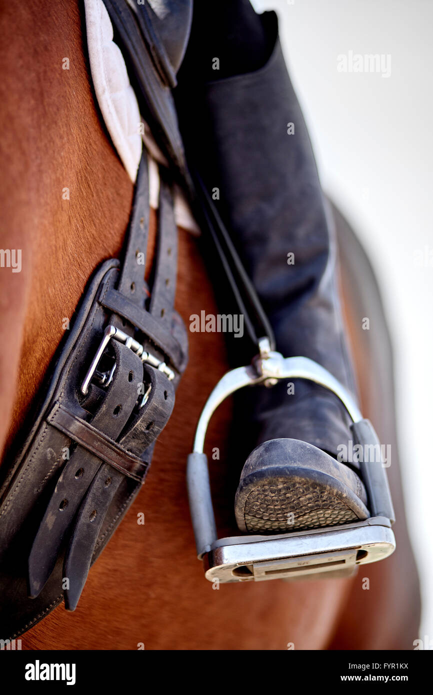 Dressage rider e cavallo closeup boot nella staffa dettaglio fotografia Foto Stock