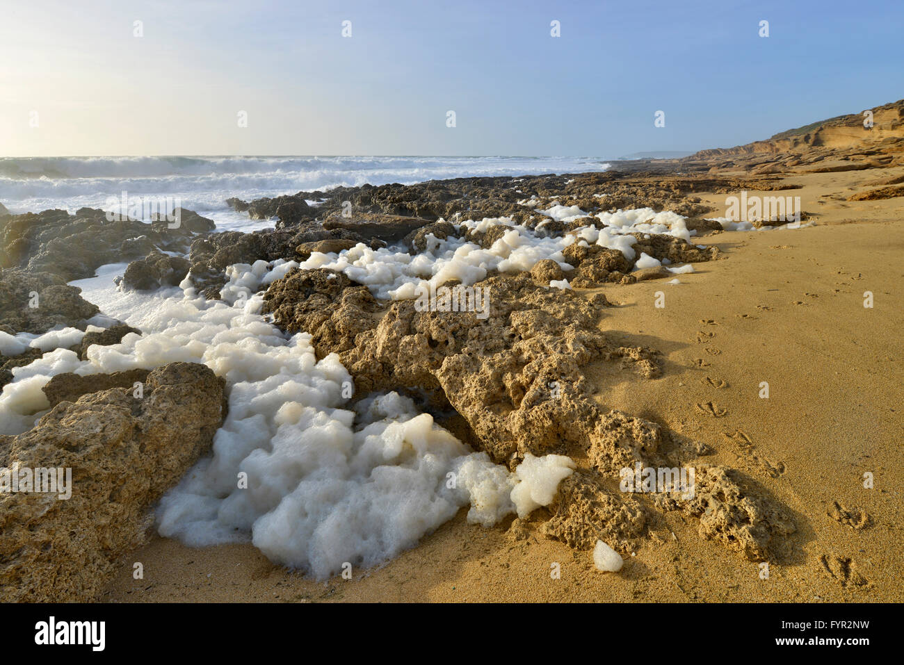 Schiuma di mare, spiaggia di Scivu, Costa Verde, Sardegna, Italia Foto Stock