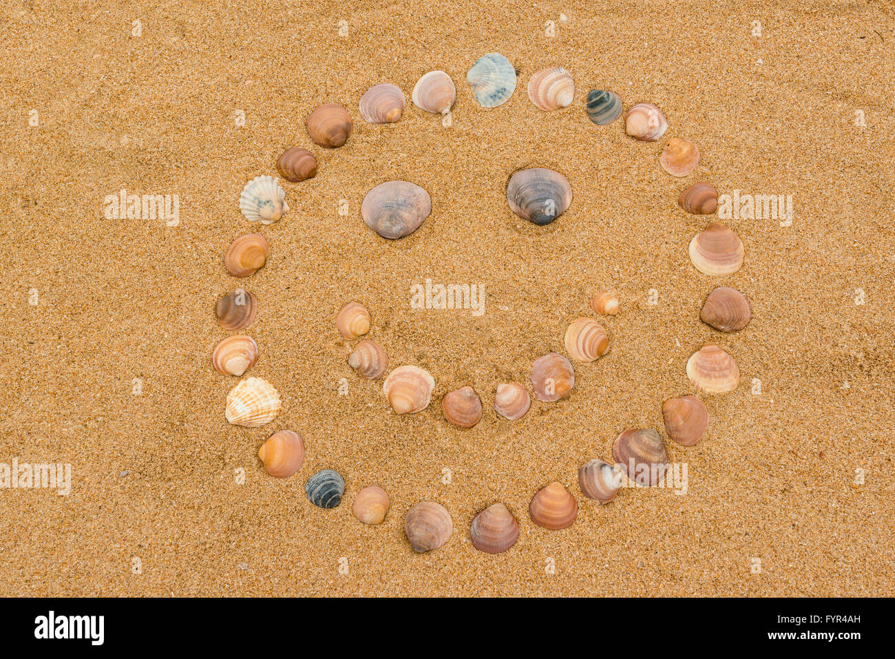 Faccia felice sulla spiaggia Foto Stock
