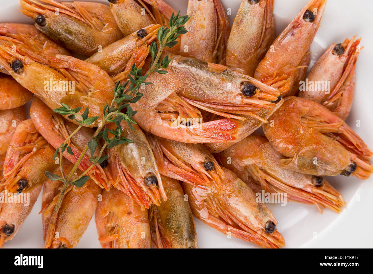 Porzione di gamberi a caldo sulla piastra bianca di servire nel ristorante Foto Stock