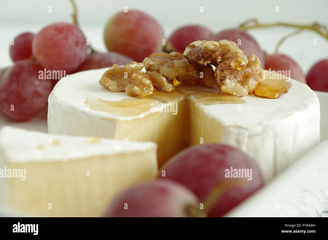 formaggio a pasta molle Foto Stock