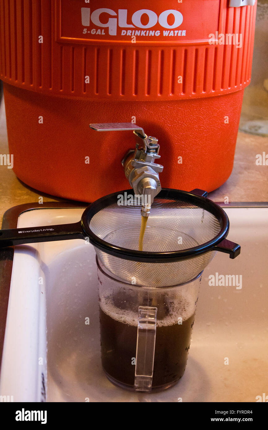 Home Brew teso in una coppa di misurazione. Da casa serie della birra. Foto Stock