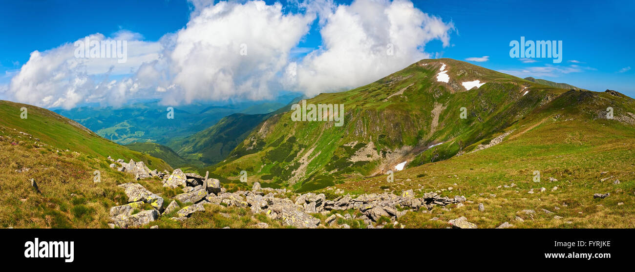 Estate paesaggio di montagna Foto Stock