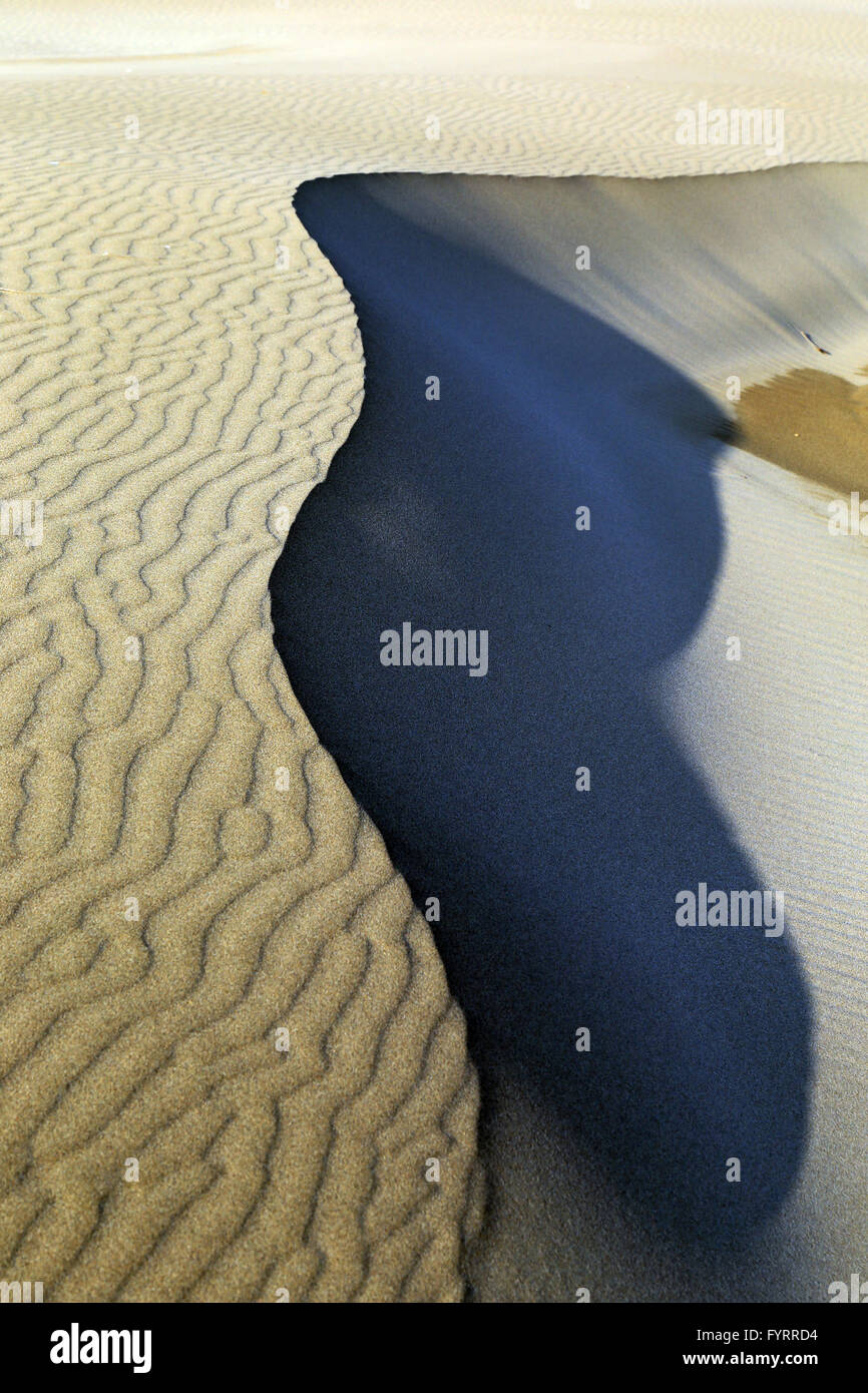 Dettaglio delle dune di sabbia, Esiguette Beach, Le Grau Du Roi, Gard, Languedoc-Roussillon, Francia Foto Stock