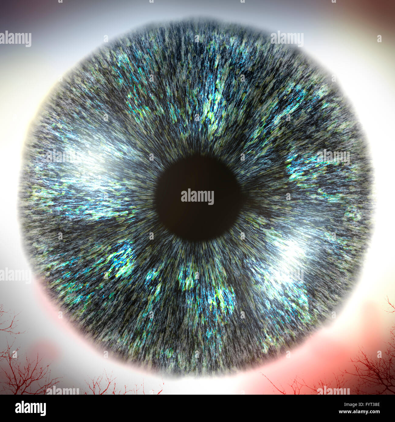 Extreme Macro close up bulbo oculare umana sfondo, 3D illustrazione Foto Stock