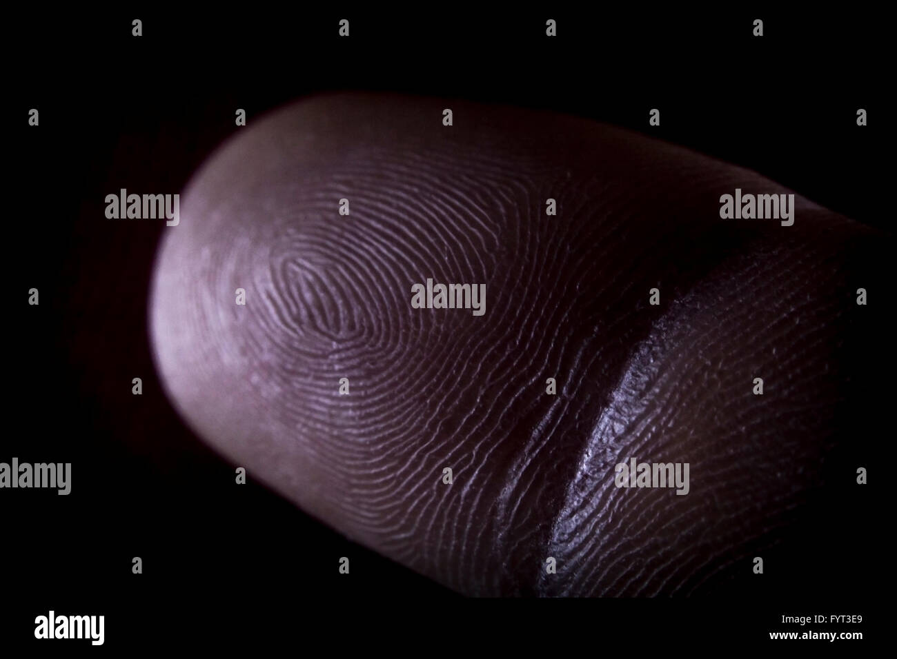 Puntatore umana dito macro close up finger print Foto Stock