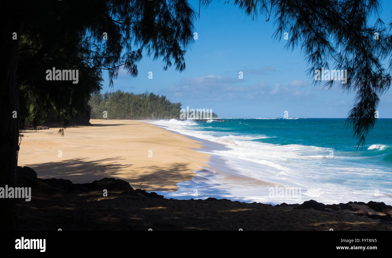 Potente flusso di onde sulla sabbia in Spiaggia Lumahai, Kauai Foto Stock