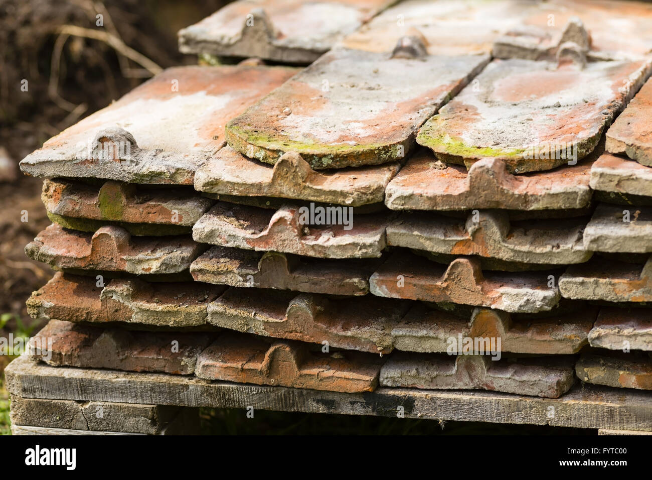 vecchie mattonelle di tetto Foto Stock