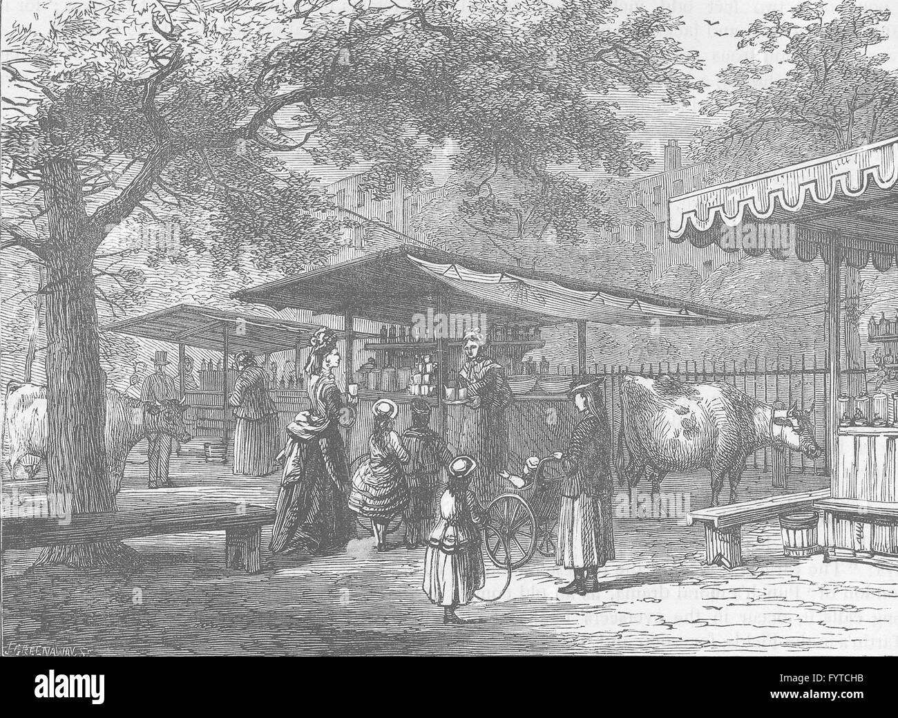 ST JAMES PARK: fiera del latte. Londra, antica stampa c1880 Foto Stock