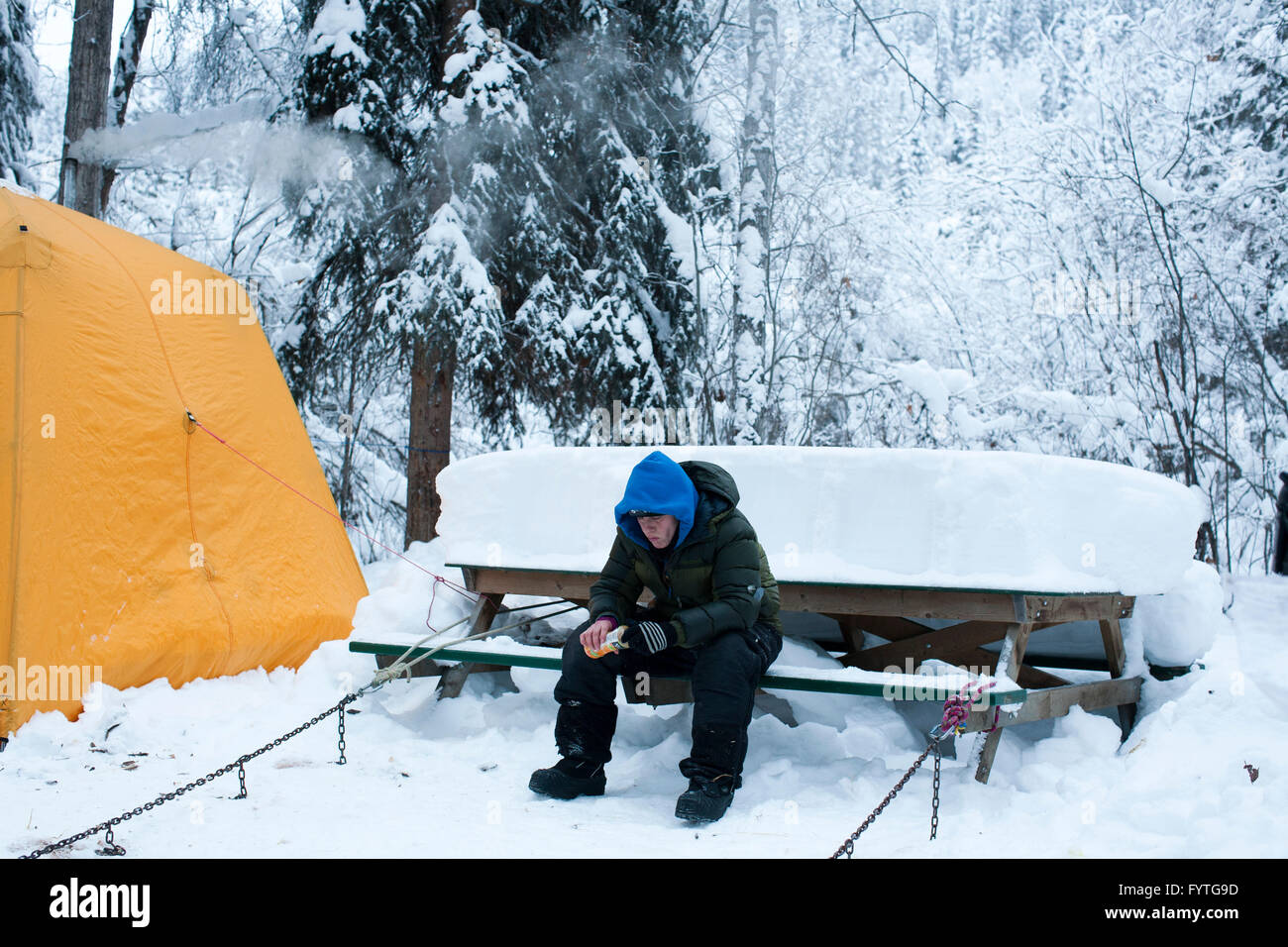 La Yukon Quest International Sled Dog Race è premuroso da alcuni il mondo?s più dure, e appena la finitura può essere la ricompensa. Questo anno la linea di partenza era in Whitehorse, Yukon, dove la Mille Miglia (1.600 chilometri) di percorso che segue il vecchio trav Foto Stock