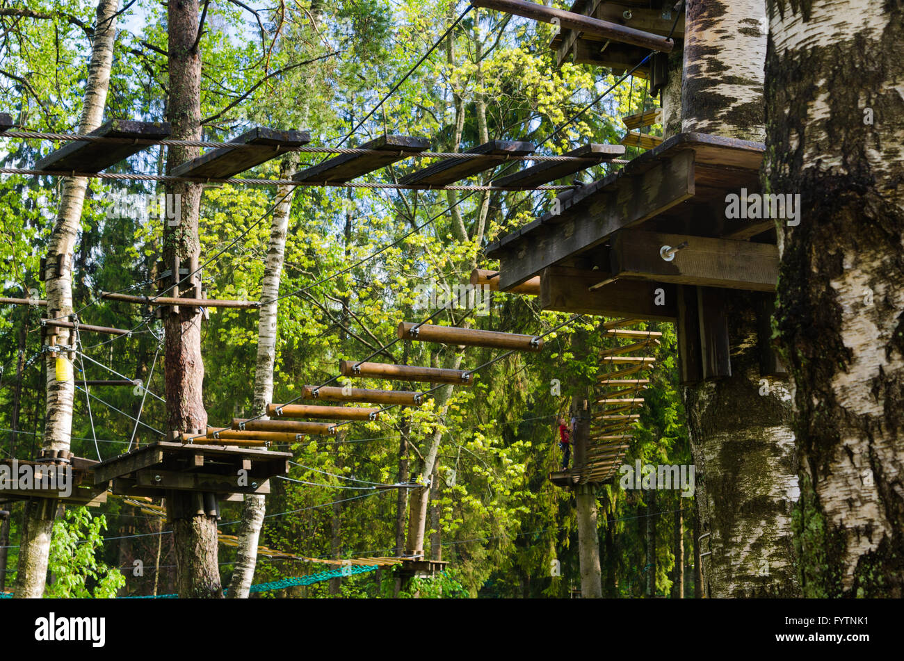 Pericoloso funivia con laccio in corda park, alberi con foglie di colore verde Foto Stock