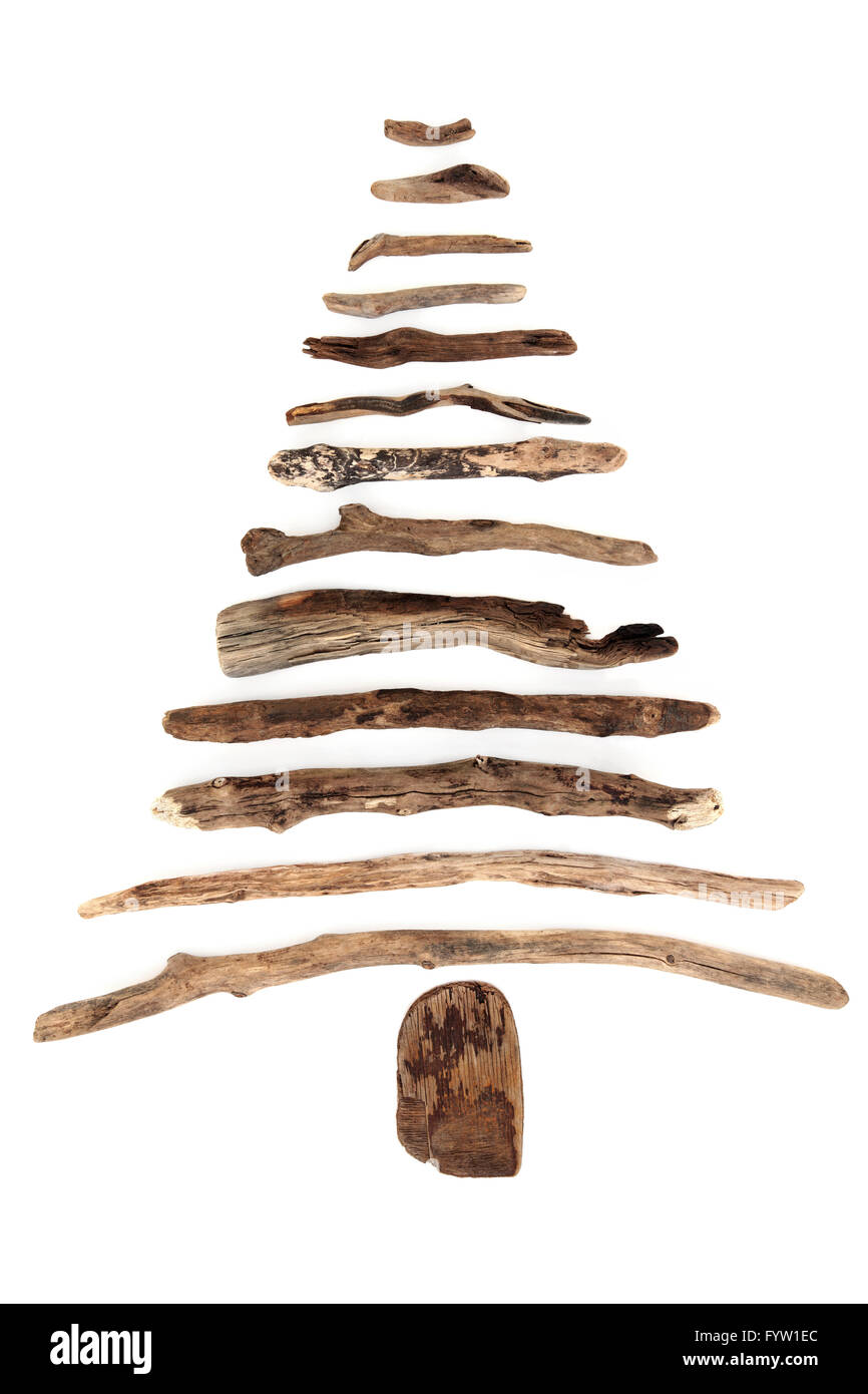 Abstract driftwood albero su uno sfondo bianco. Foto Stock