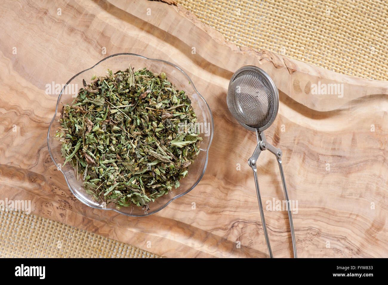 La Stevia foglie secche giacente su vetro piattino e vuoto in maglia metallica infusore tè teaball, porzione essiccata di materie sano fogliame verde. Foto Stock