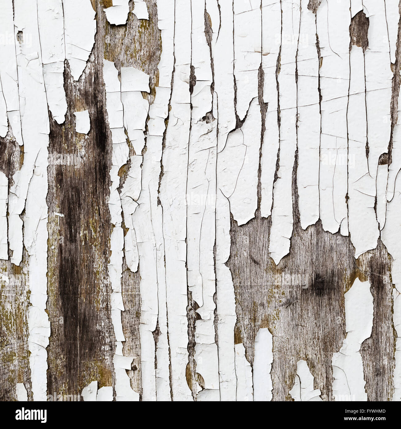 Vernice incrinata Foto Stock