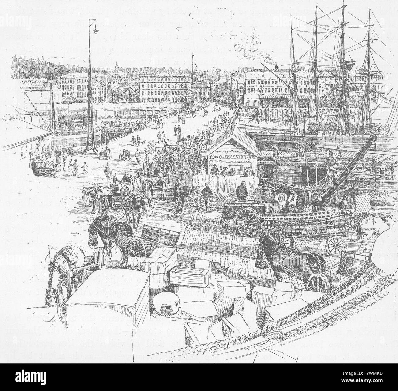 Nuova Zelanda: Auckland: wharf, antica stampa 1890 Foto Stock