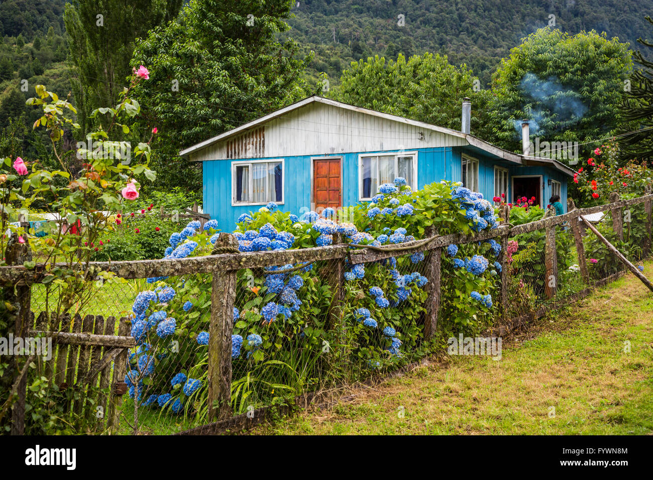 Una fattoria rurale casa nella valle nascosta vicino a Puerto Aysen, Cile, America del Sud. Foto Stock