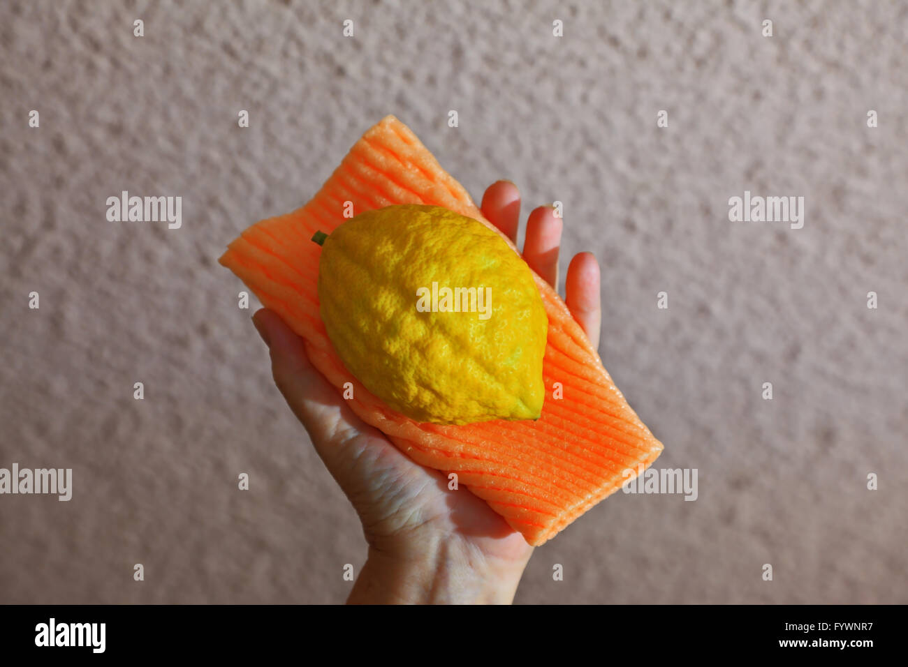 Rituale di frutta in mano femmina Foto Stock