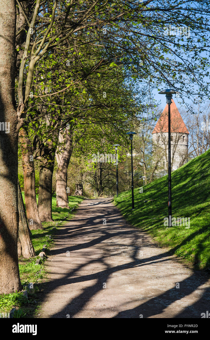 Park a Tallinn, in una bella giornata di primavera Foto Stock