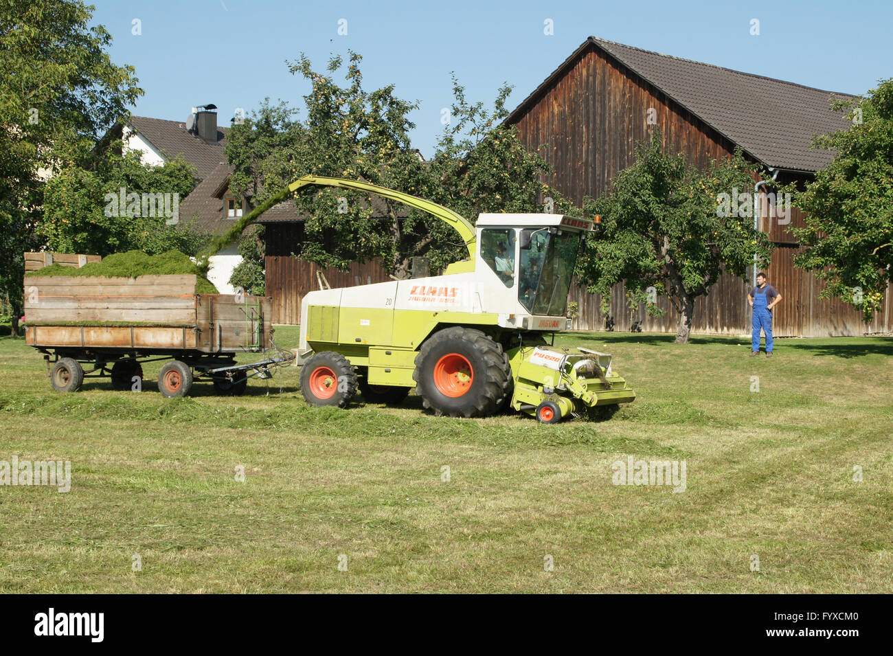 Falciaerba Foto Stock