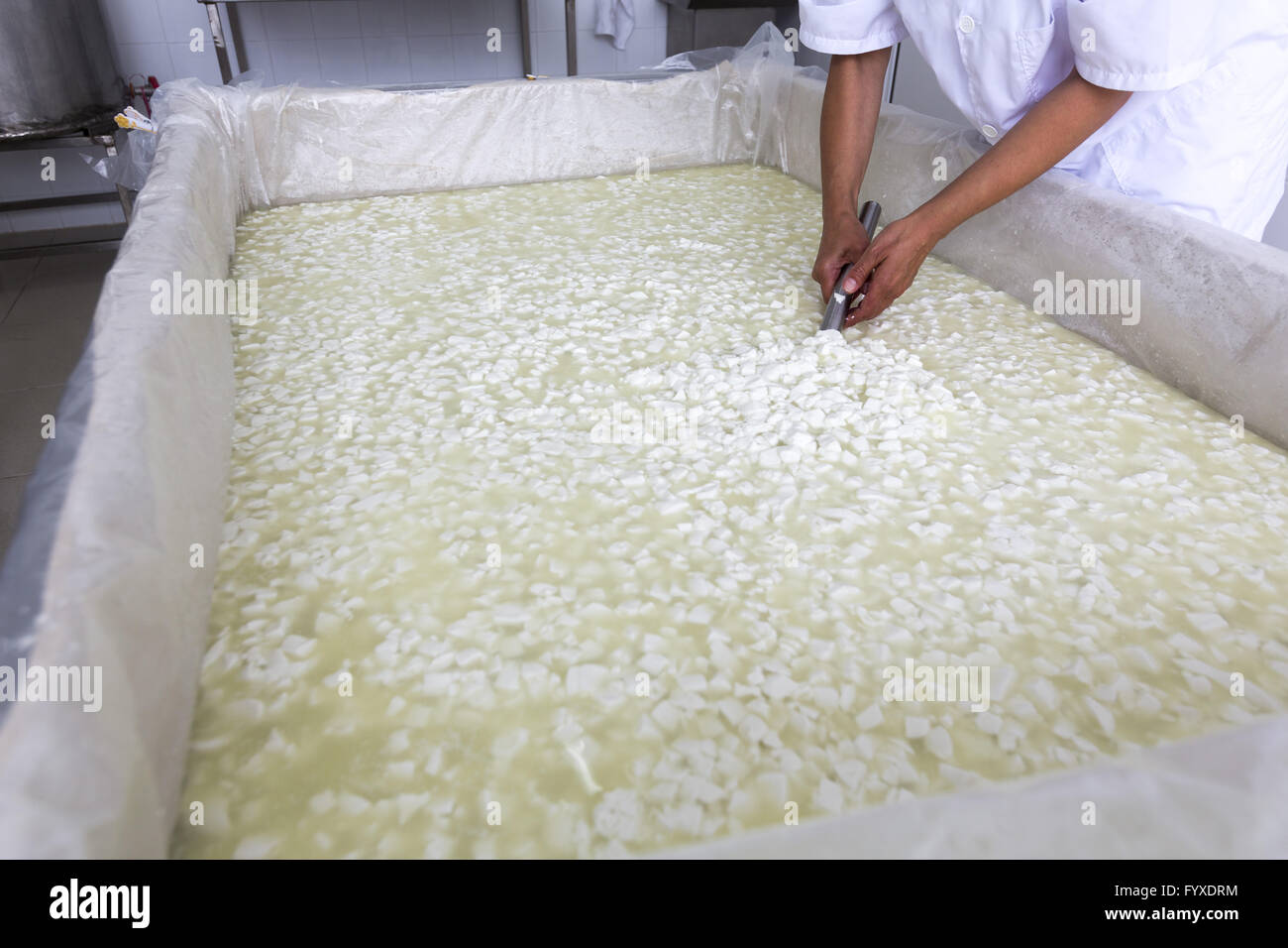 Lavoratore di formaggio su serbatoio in un diario creamery Foto Stock