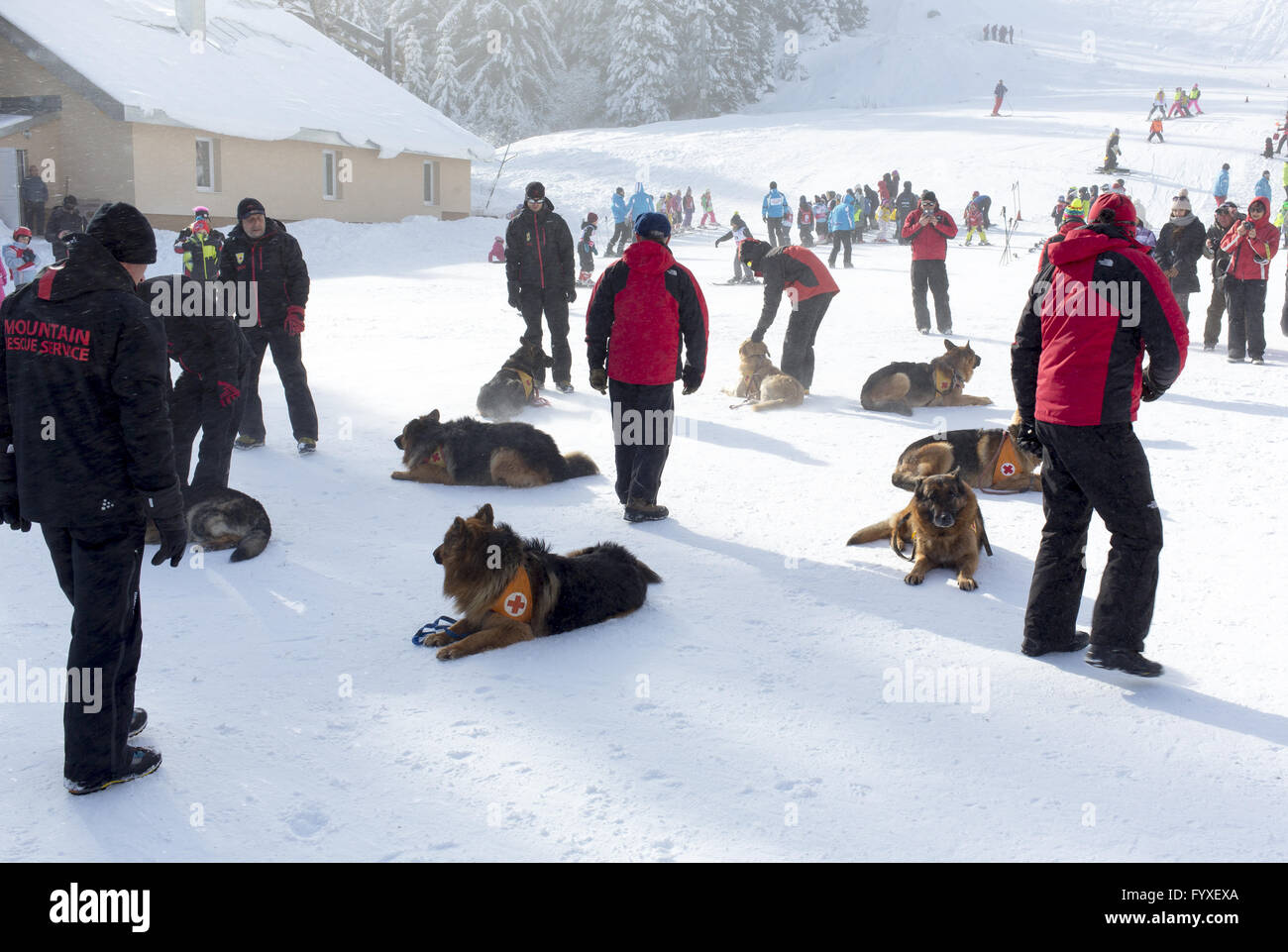 Mountain rescue service Foto Stock