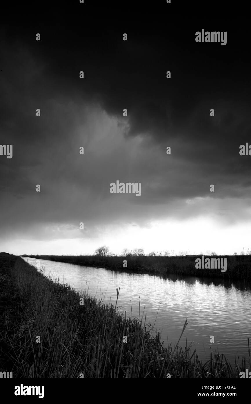 Centinaia di piedi lavaggi a Welches Dam, Cambridgeshire, England, Regno Unito Foto Stock