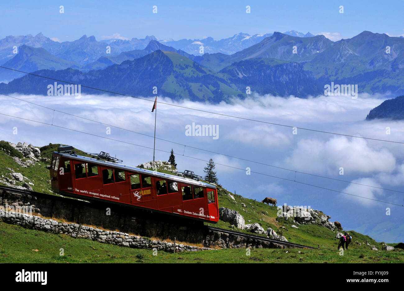 A pignone e cremagliera per ferrovia Monte Pilatus, ferrovia a cremagliera, Cantone di Obvaldo, Svizzera Foto Stock