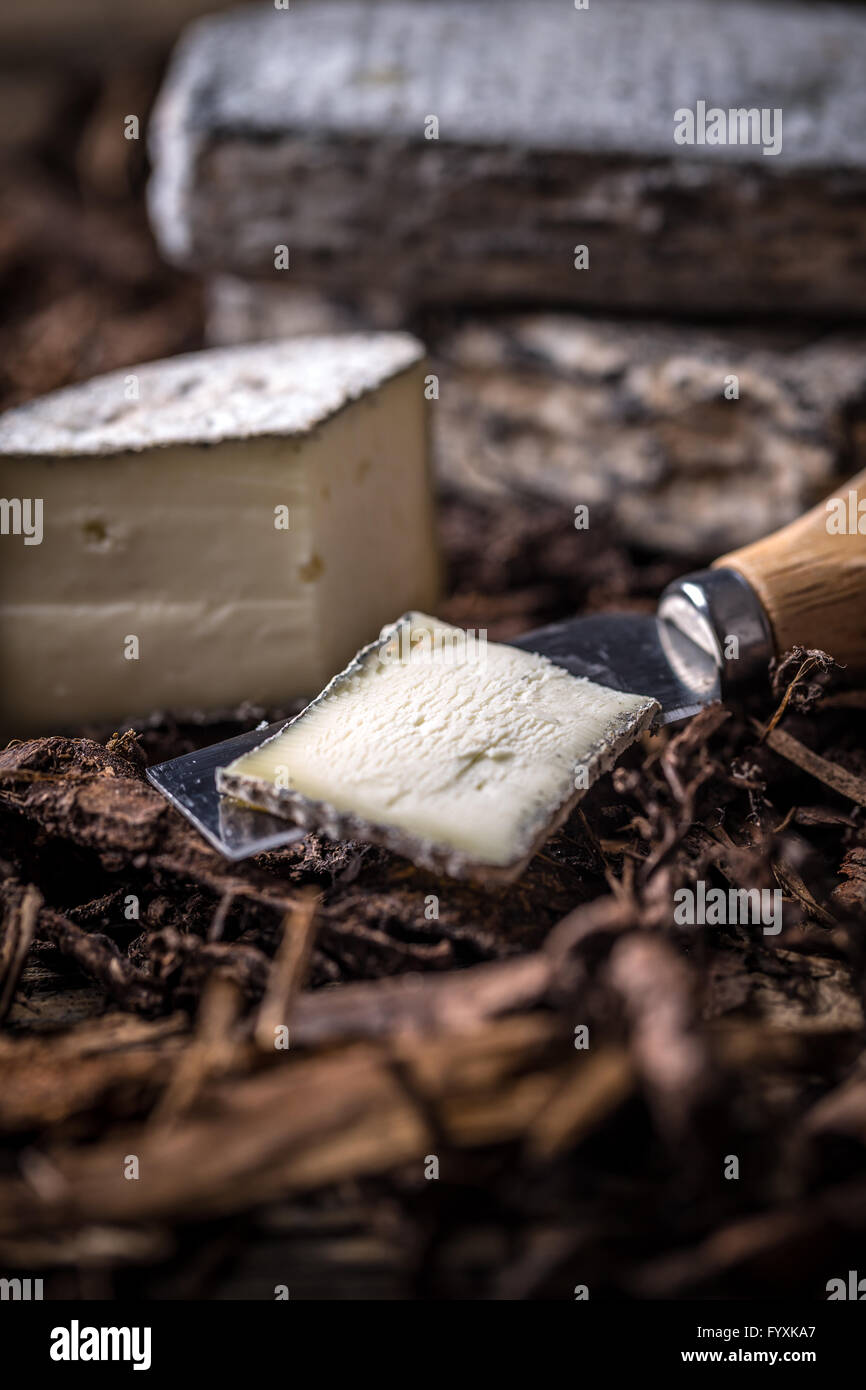 Formaggio a pasta morbida, brie o camembert Foto Stock