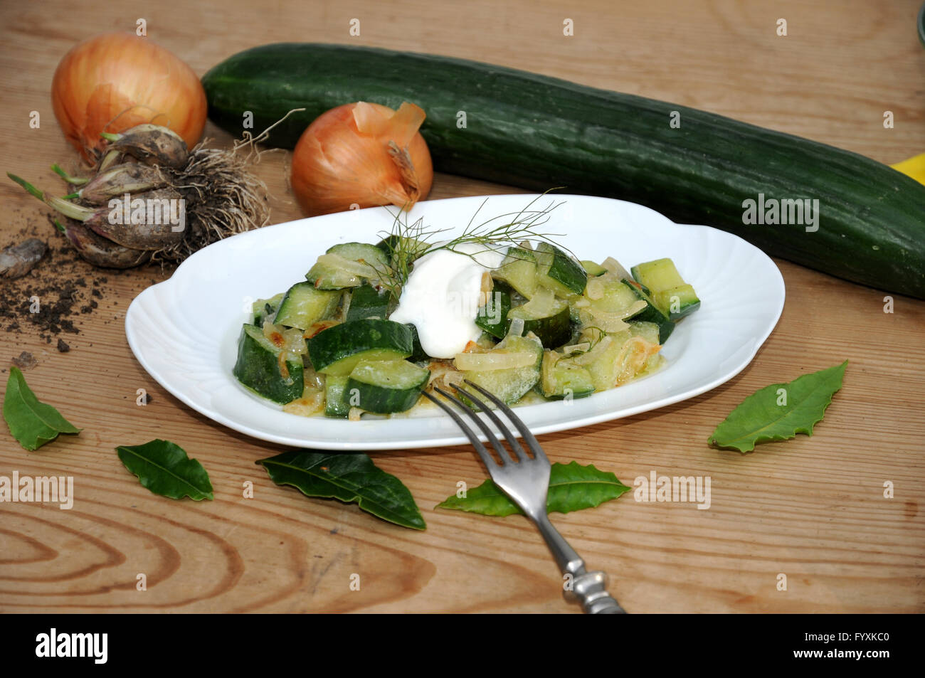 Cucumis sativus, cetriolo, cotta Foto Stock